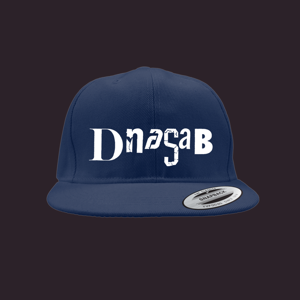 [dNASAb] Embroidered Snapback Cap