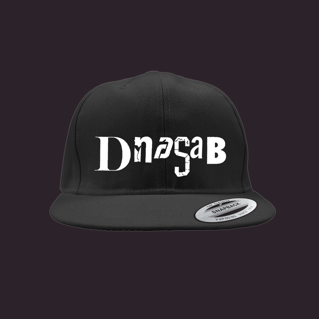 [dNASAb] Embroidered Snapback Cap