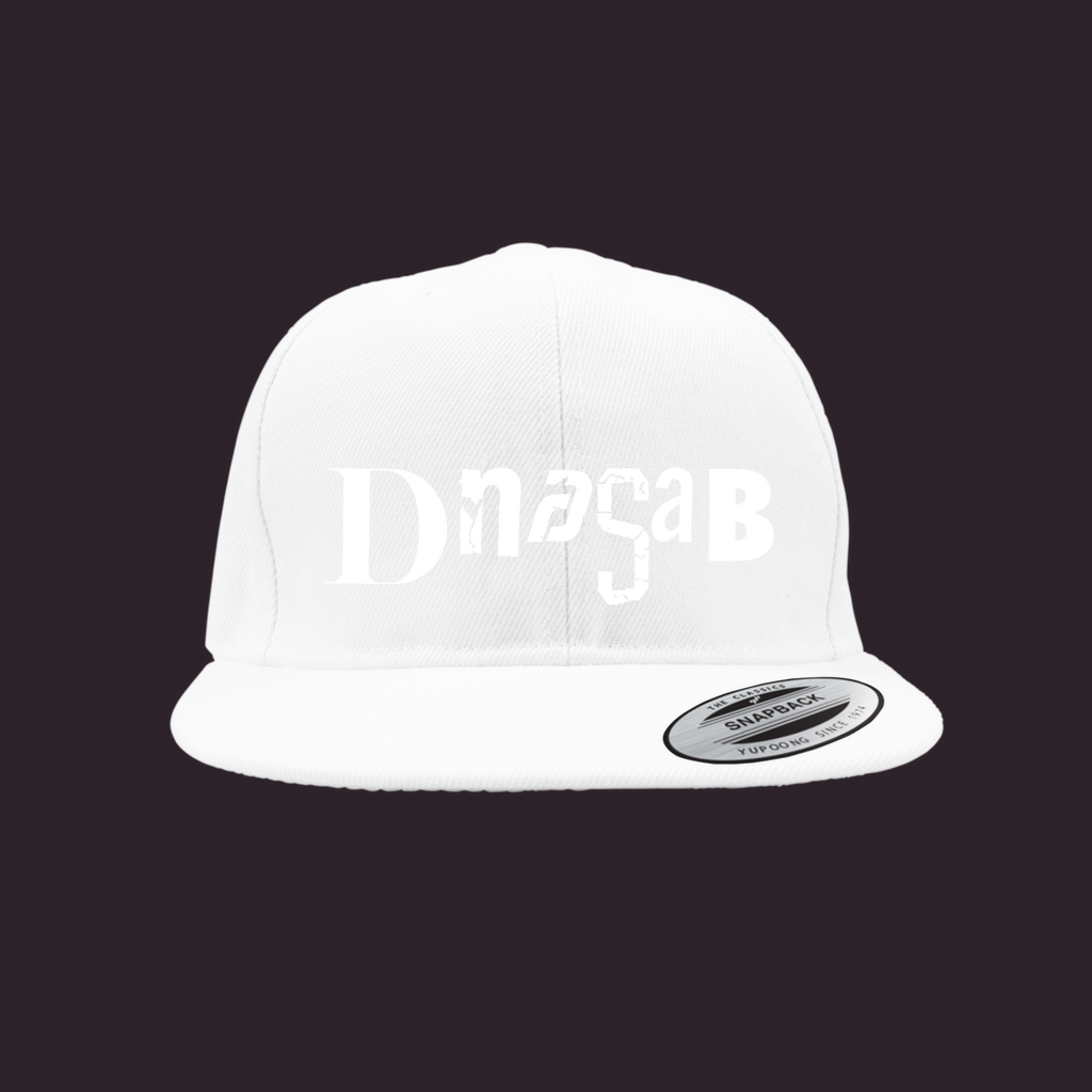 [dNASAb] Embroidered Snapback Cap