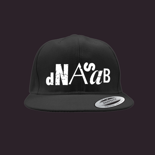 [dNASAb] Embroidered Snapback Cap