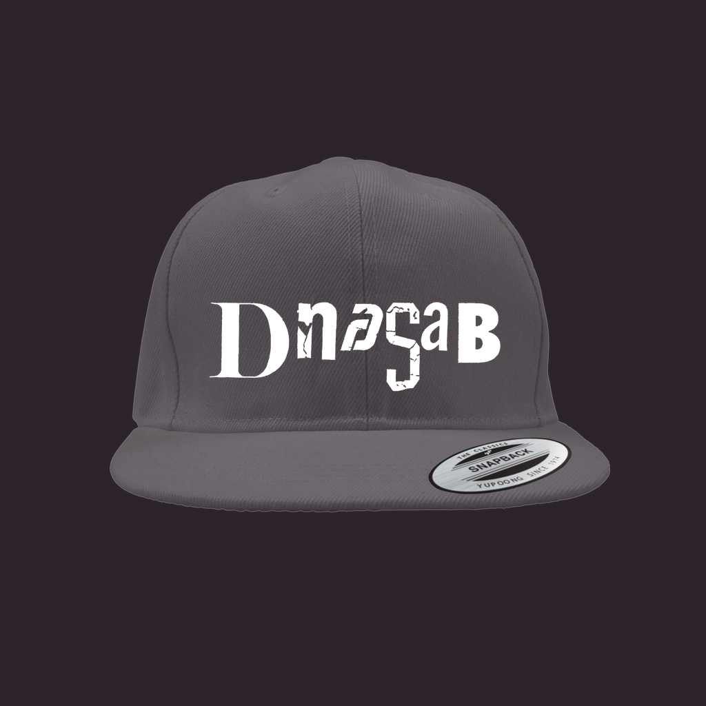 [dNASAb] Embroidered Snapback Cap